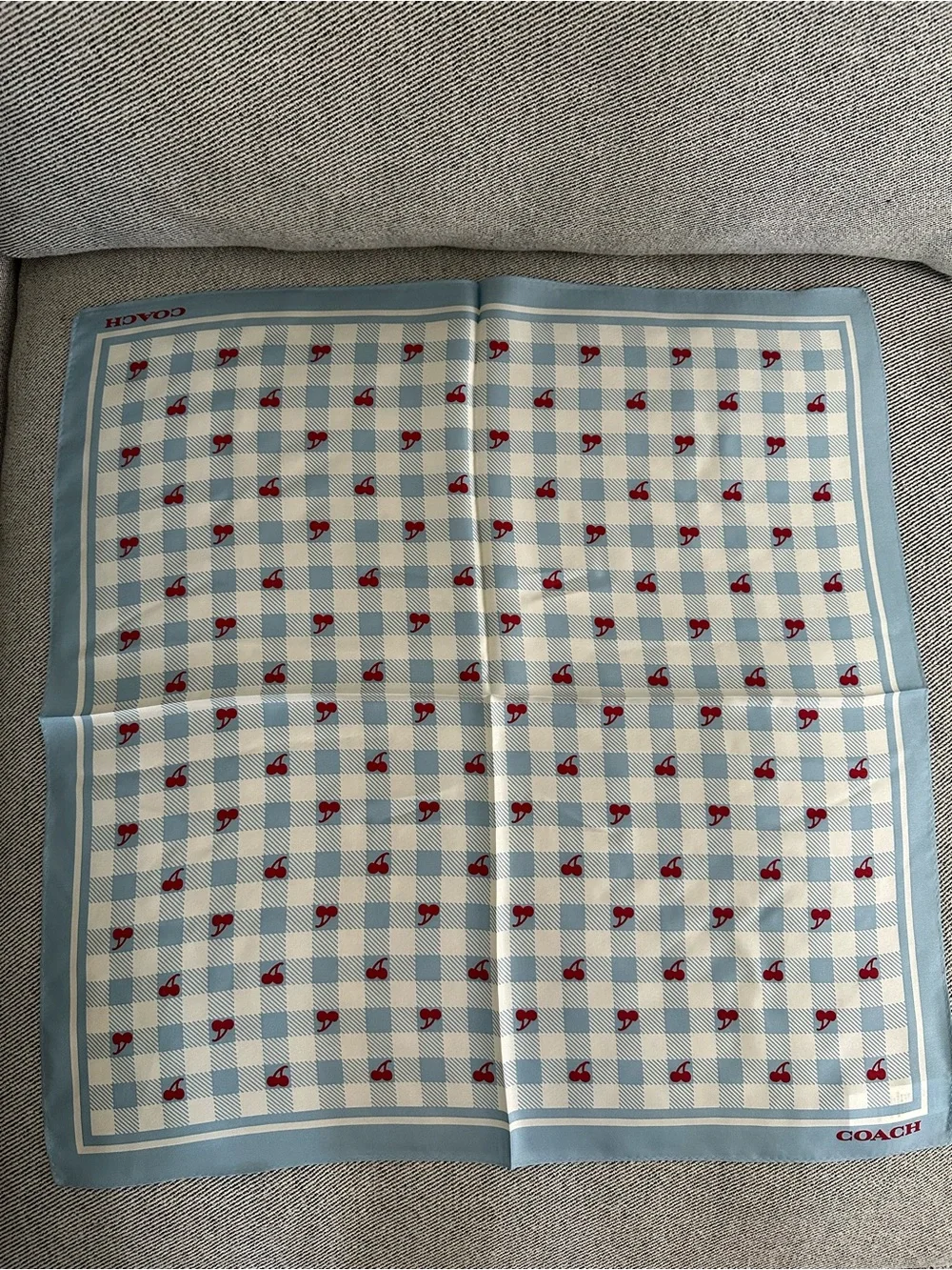 Coach Cherry Gingham Silk Scarf Bandana CFG33